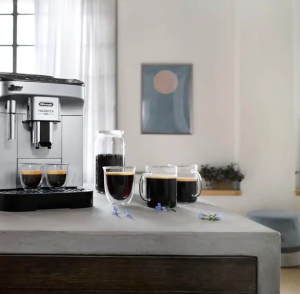 De'Longhi Magnifica S vs De'Longhi Magnifica EVO difference