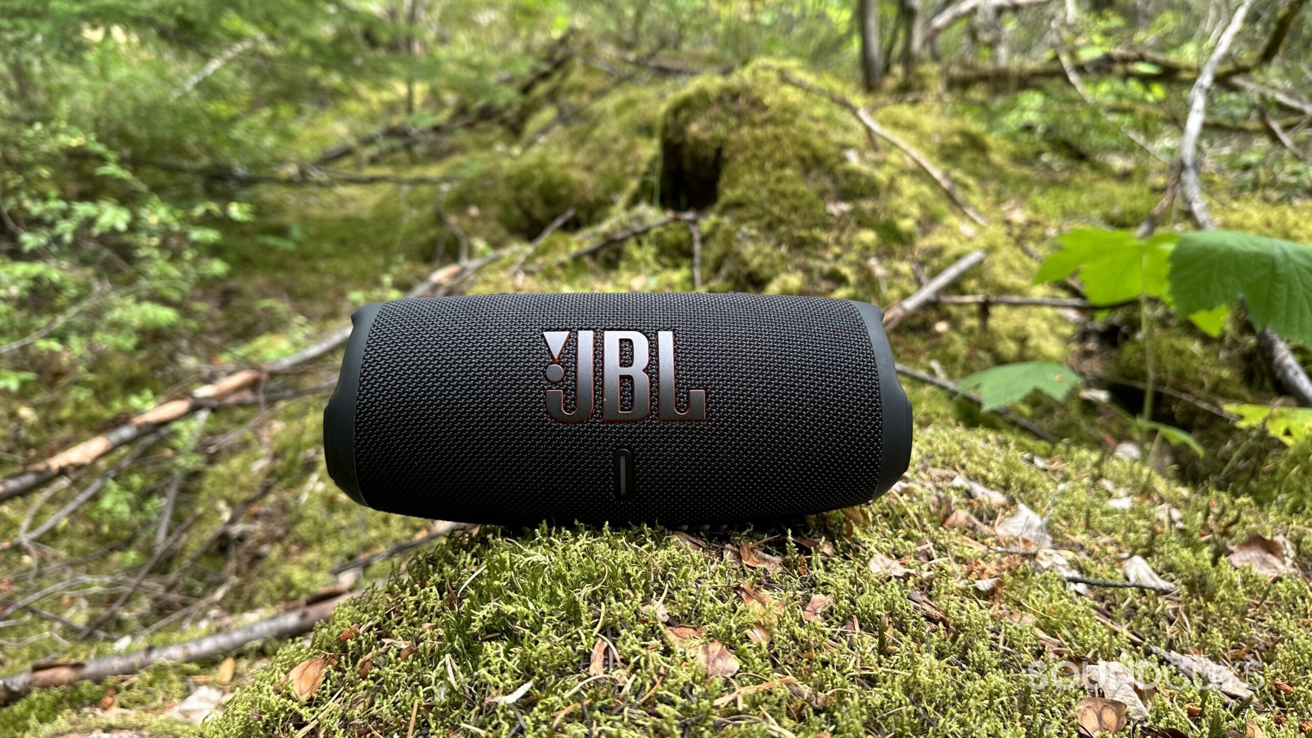 JBL Charge 6 vs 5 comparative JBL Charge 6 vs 5 comparative